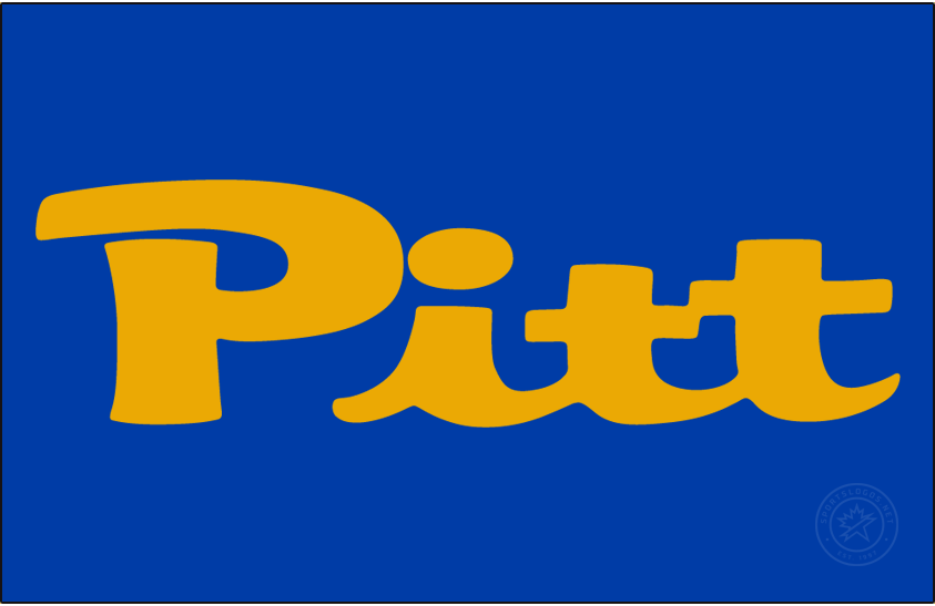 Pittsburgh Panthers 1959-1966 Alt on Dark Logo diy DTF decal sticker